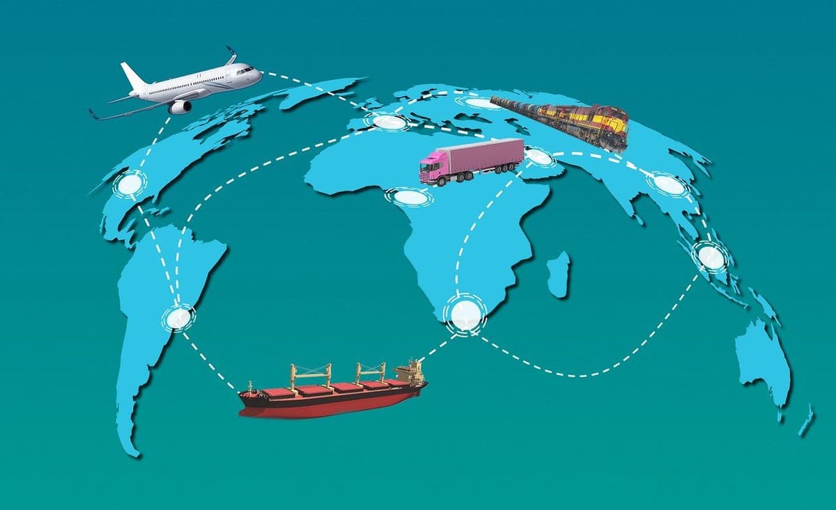 How to Choose the Right Pallet Type for Your Shipping Needs