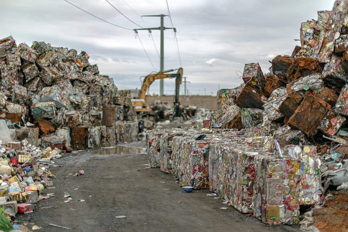 Is a Cardboard Baler the Right Investment for Your Business