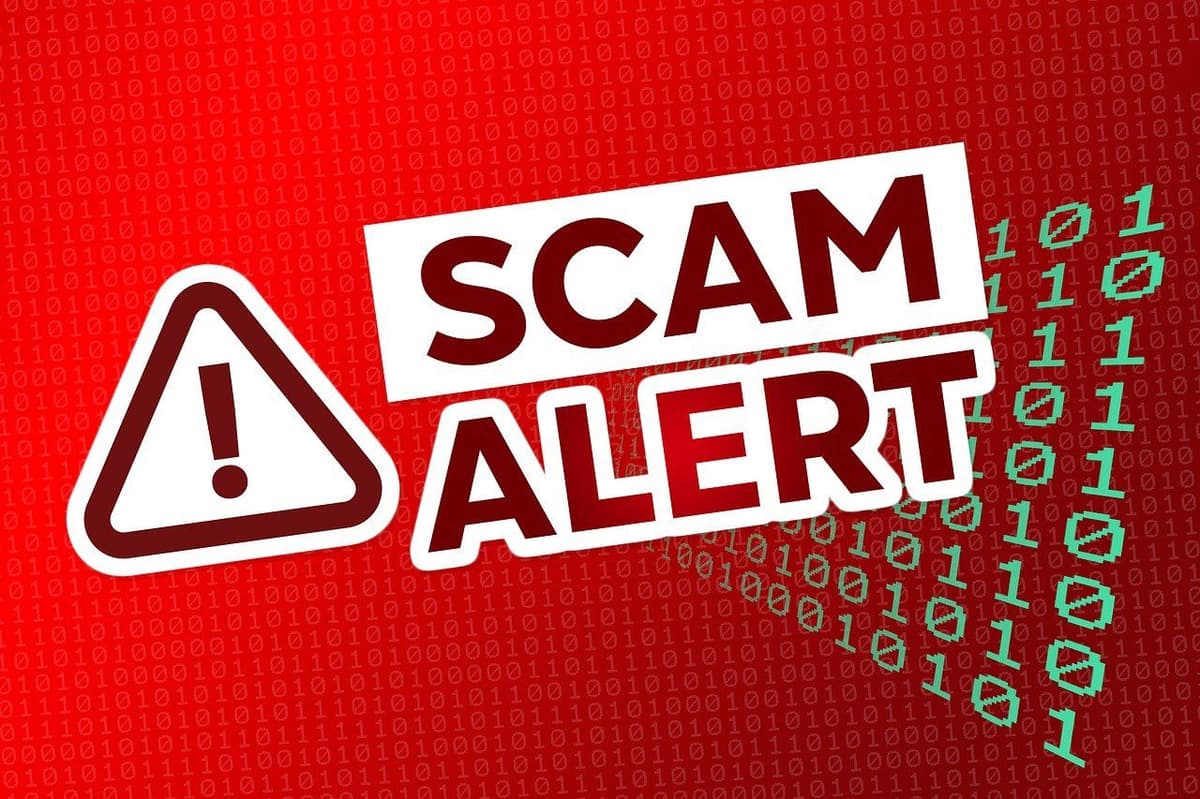 How to Avoid Scams When Buying Pallets Online